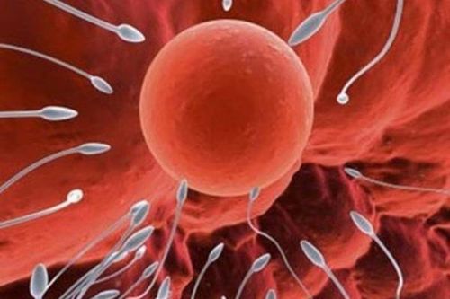 Hành trình 'tìm con'của phụ nữ hiếm muộn có ảnh hưởng bởi COVID-19 ?