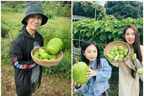 Mãn nhãn khu vườn trồng rau nuôi gà của Lý Hải - Minh Hà ở ngoại ô