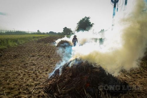 Hà Nội: Thực hiện các giải pháp mạnh hơn để kiểm soát ô nhiễm không khí