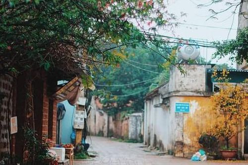 Bảo tồn làng cổ, nhà cổ để tài nguyên không 'chết dần'