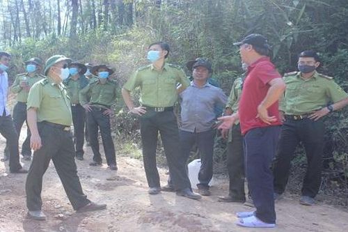 Hỏa hoạn 3 ngày biến nhiều diện tích rừng Thừa Thiên Huế thành than bụi