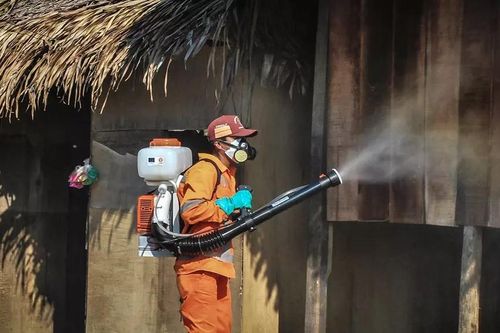 WHO ghi nhận Trung Quốc đã 'xóa sổ' thành công bệnh sốt rét