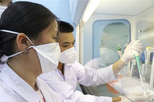 Phú Yên lập bệnh viện dã chiến, Hải Phòng, Cần Thơ siết chặt đi lại