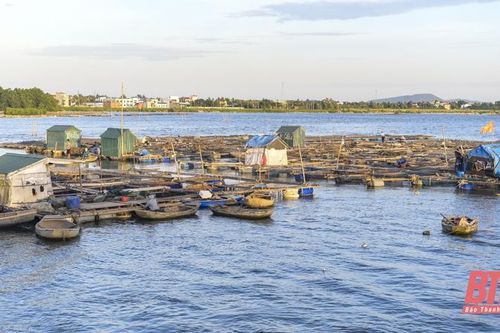 Ít người mua, hải sản tiêu thụ khó khăn