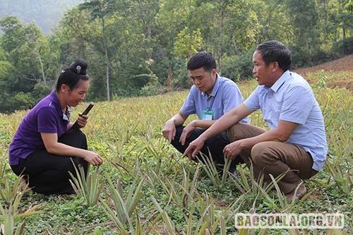 'Dân vận khéo' trong phát triển kinh tế