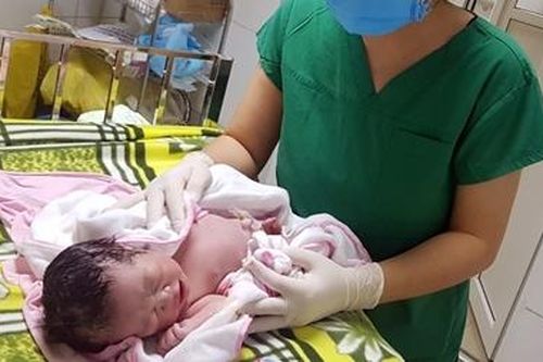 12 em bé chào đời trong khu cách ly