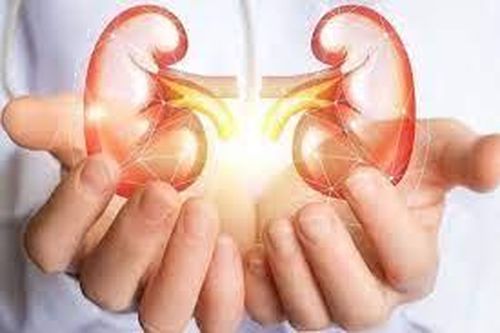 7 nguyên tắc để người bệnh thận mạn sống an lành trong dịch COVID-19