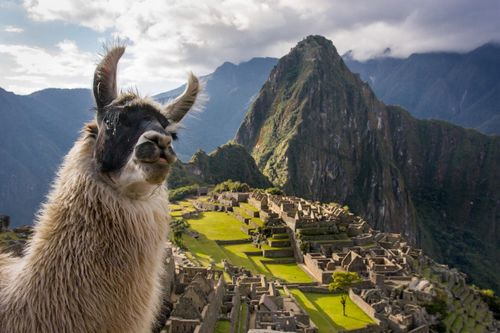 Mở cửa đường mòn dẫn đến 'thành phố bị mất của người Inca'
