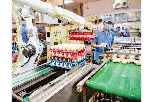 Doanh nghiệp lập 'khu dã chiến' phòng dịch