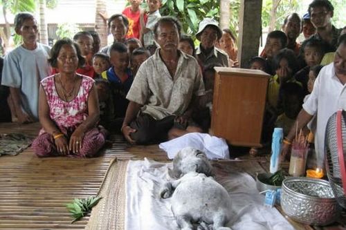 8 sinh vật bí ẩn từng gây xôn xao dư luận