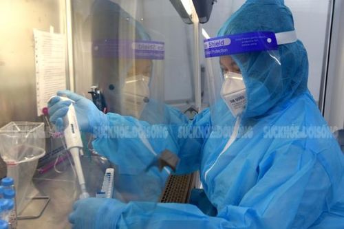 102 người mắc COVID-19 ở Nghệ An, 33 ca liên quan chợ đầu mối Vinh
