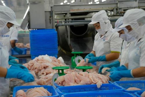 Mỹ miễn thuế chống bán phá giá cho 2 doanh nghiệp cá tra Việt Nam