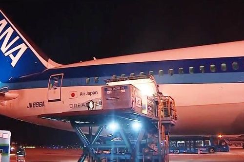 400.000 liều vắc xin Covid-19 Nhật Bản viện trợ cho Việt Nam đã về tới TP Hồ Chí Minh