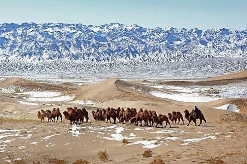 Top 6 địa điểm tham quan hấp dẫn du khách ở Mông Cổ
