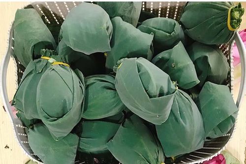 Đặc sản Hà thành năm chỉ có một mùa, mua trăm bông cất tủ dùng dần