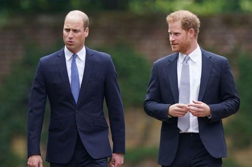 Hoàng tử Harry 'căng thẳng' khi xuất hiện cạnh anh trai trong lễ khánh thành tượng cố Công nương Diana