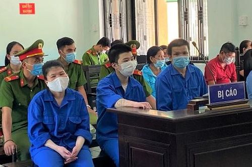 Ba người trong một gia đình vào tù vì lừa đảo