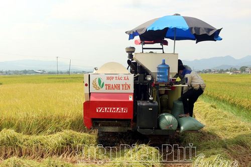 Phát triển nông nghiệp bền vững, chất lượng cao