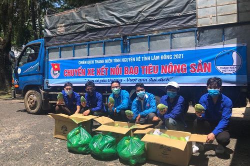 Hỗ trợ nông dân huyện Lâm Hà tiêu thụ 20 tấn xoài