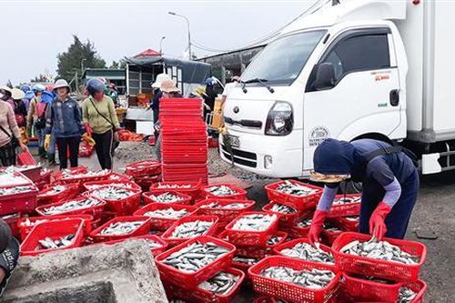 Triệu Phong thực hiện tốt các chỉ tiêu kinh tế - xã hội 6 tháng đầu năm 2021