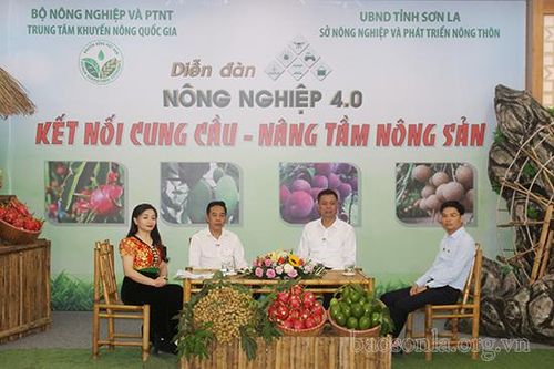 Diễn đàn nông nghiệp 4.0 'Kết nối cung cầu – Nâng tầm nông sản Sơn La'