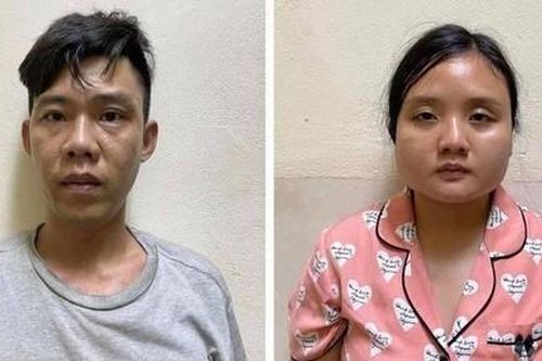 Cặp đôi trồng cần sa tại nhà để bán với chiêu thức tinh vi