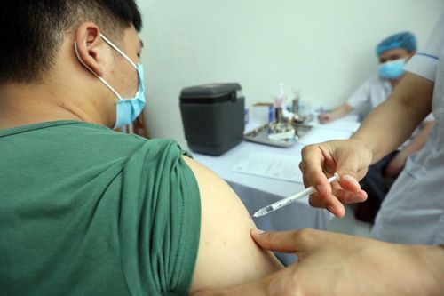 Đưa vaccine Việt Nam 'về đích'