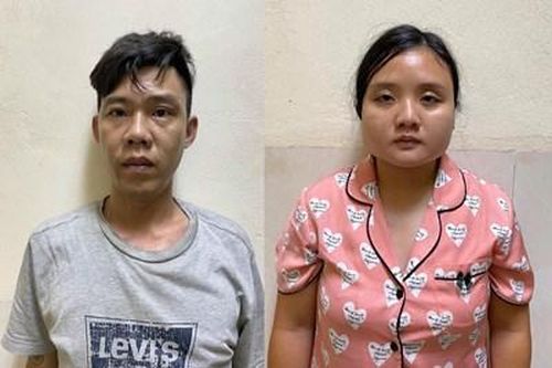 Phê chuẩn khởi tố cặp vợ chồng trồng cần sa trên mái tôn ở Hà Nội