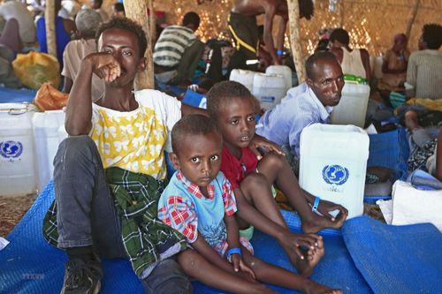 Việt Nam lên án các hành động bạo lực nhằm vào dân thường tại Ethiopia