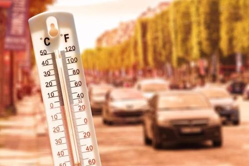 Nắng nóng kỷ lục có thể đã lấy mạng của gần 500 người ở Canada