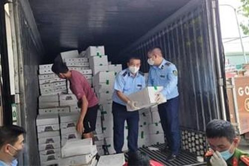 Hà Nội: Thu giữ 10 tấn nội tạng đông lạnh đã bốc mùi hôi thối
