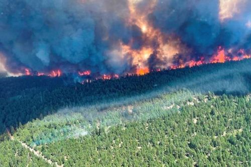 176 đám cháy rừng bùng phát dữ dội ở bờ Tây Canada