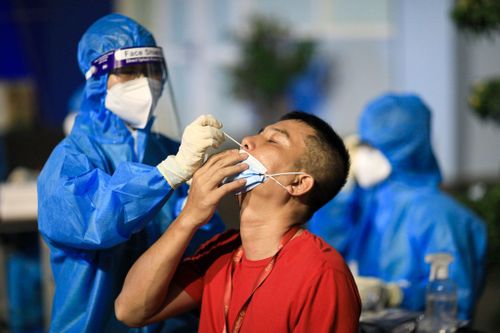 TP.HCM xem xét cấp mã QR cho người đã có kết quả xét nghiệm Covid-19