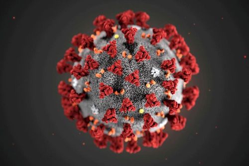Thiếu tác dụng phụ không có nghĩa là vaccine Covid-19 không hoạt động