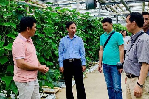 Đại sứ quán Việt Nam tại Thụy Điển thúc đẩy công tác cộng đồng và ngoại giao văn hóa