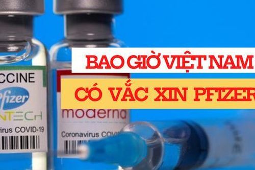 97 nghìn liều vắc xin Pfizer đầu tiên về Việt Nam
