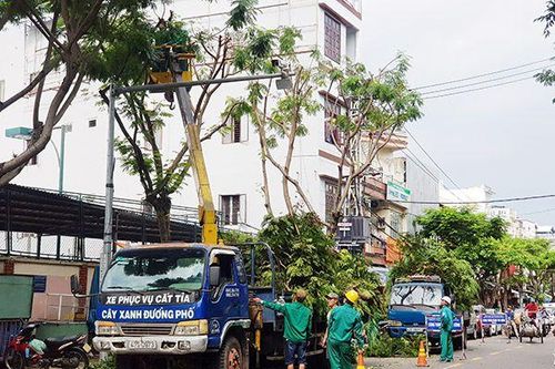 Triển khai cắt tỉa cây xanh để phòng, chống bão năm 2021
