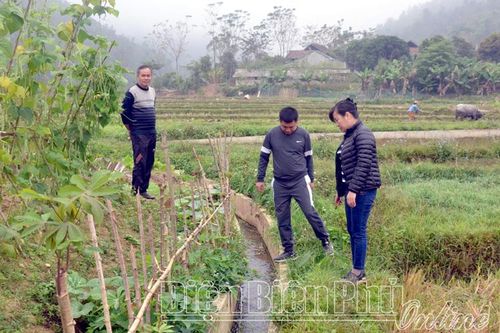 Kiên cố hóa kênh mương mở rộng diện tích sản xuất