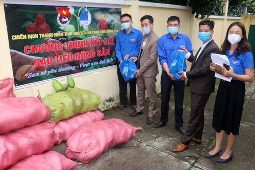 Vận động hỗ trợ tiêu thụ nông sản cho nông dân