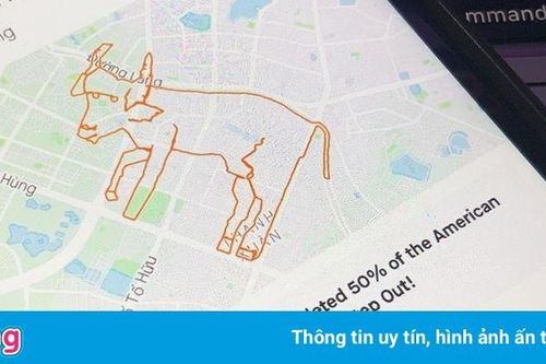 Chạy bộ để vẽ hình trâu, rùa trên bản đồ Hà Nội