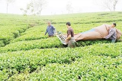 Sức bật vùng đất khó