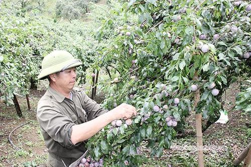 Đẩy mạnh phong trào thi đua, khơi dậy tinh thần đổi mới