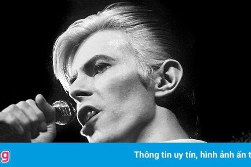 Tranh của biểu tượng nhạc pop David Bowie xuất hiện tại hàng đồ cũ