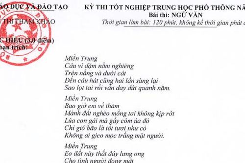 Đề thi môn Ngữ văn tốt nghiệp THPT quốc gia năm 2021