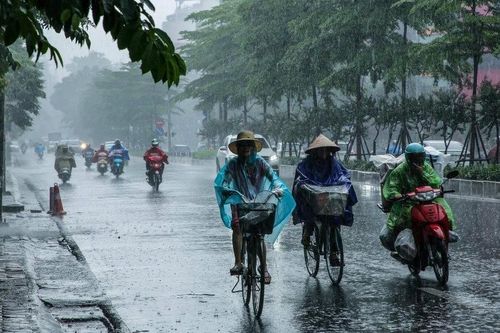 Thời tiết đêm 7, ngày 8/7: Bắc Bộ và Bắc Trung Bộ có mưa to đến rất to, có nơi trên 300mm/đợt