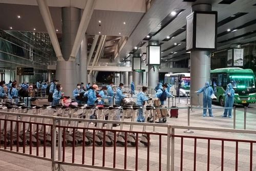 Sân bay Đà Nẵng phân luồng khách đến từ các địa phương có dịch Covid-19