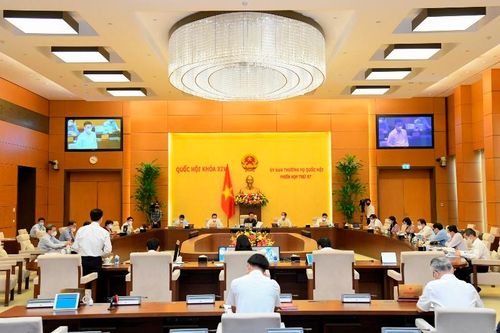 Phê chuẩn kết quả bầu Chủ tịch, Phó Chủ tịch Hội đồng nhân dân một số địa phương