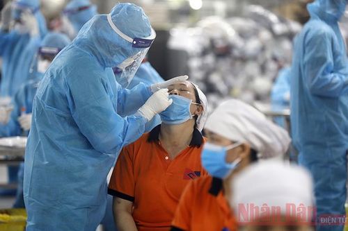 Đơn giản hóa các thủ tục trong gói hỗ trợ 26 nghìn tỷ đồng