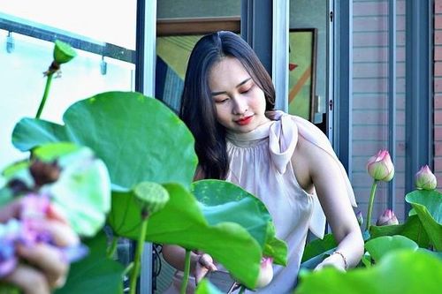 Vợ chồng Hà Nội trồng hồ sen trên penthouse 300 m2 'du lịch' tại nhà