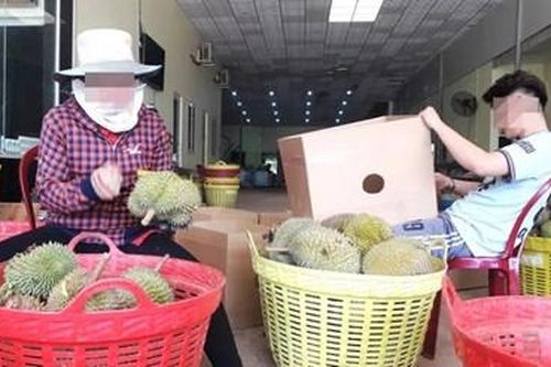 Bắt đối tượng đe dọa thương lái, thu tiền bảo kê mua sầu riêng 1.000 đồng/kg